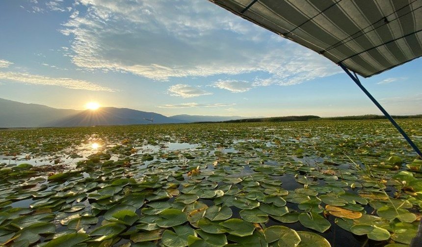Işıklı Gölü’nde Tur Sezonu Erken Açıldı: Kuşlar ve Ekosistem Risk Altında