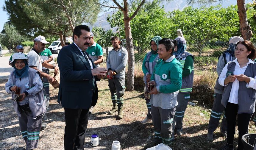 Pamukkale'de 823 Kilometrekarelik Alanda Yabani Ot Mesaisi