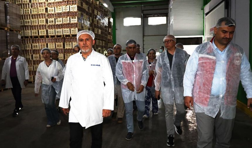 Türk Kirazı Tek Yön Çin Biletini Almak Üzere