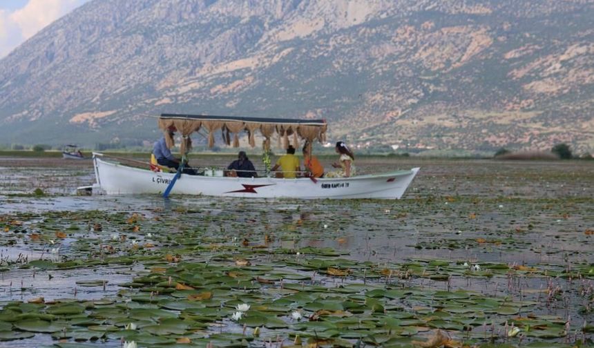 Aşırı Yağışlar Nilüferlerin Görsel Şölenini Geciktirdi