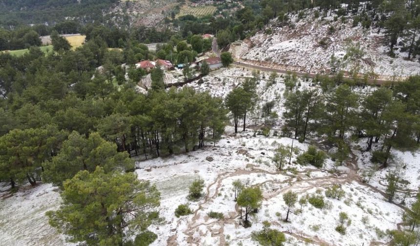 Çameli'de Dolu Yağışında Seralar ve Tarlalar Saniyeler İçinde Beyaza Büründü