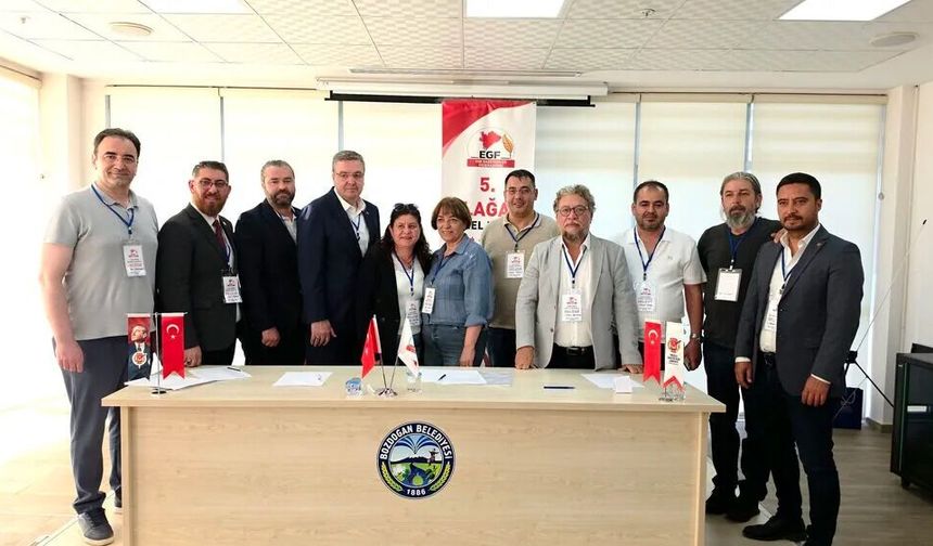 EGF'de, Kaytan Güven Tazeledi
