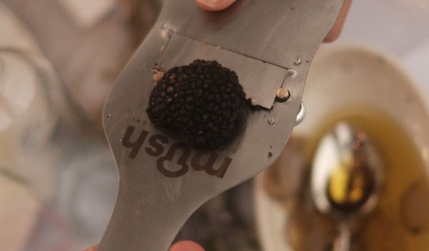 Denizli, Trüf Mantarıyla Yeni Bir Marka Değeri Oluşturuyor
