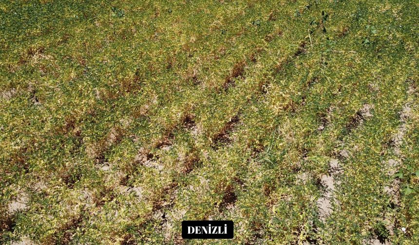 BORSA-20'nin  Başarısı İl Sınırlarını Aştı