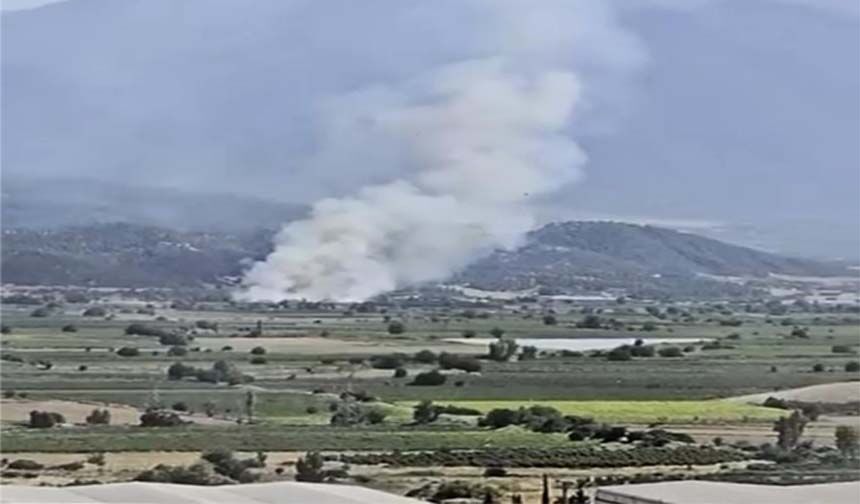 Denizli’de Ormanlık Alana Yakın Bölgede Arazi Yangını Çıktı