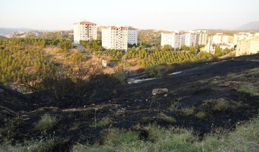 Denizli'de Yerleşim Yerine Yakın Otluk Alanda Çıkan Yangın Korkuttu
