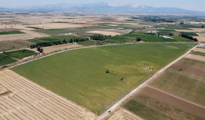 Denizli Ticaret Borsası’nın Yerli Nohut Çeşidinde İlk Tohumlar Yeşerdi