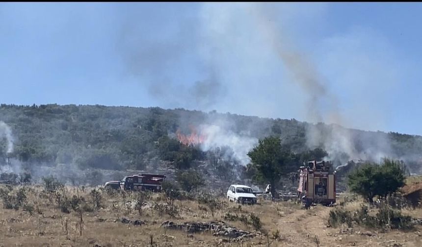 Arıcının Tütsüsü Ormanı Yaktı