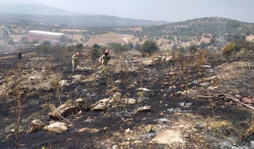 Denizli’de Orman Yangını Hızlı Müdahaleyle Kontrol Altına Alındı
