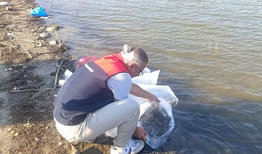 Göletlere 80 Bin Yavru Balık Bırakıldı
