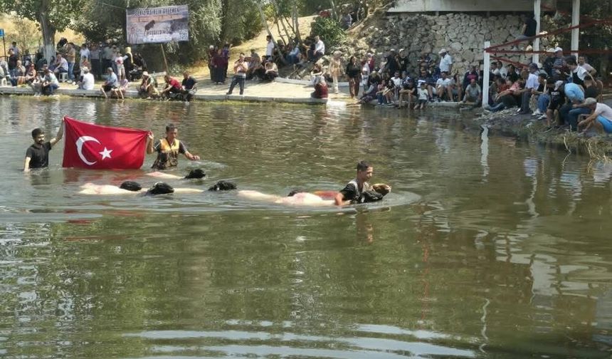 8 Asırlık Çal Sudan Koyun Geçirme Festivali Yoğun Katılımla Gerçekleşti
