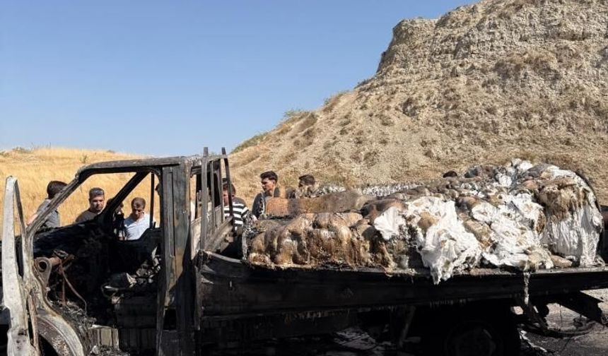 Denizli'de Bir Yıllık Emekleri 15 Dakikada Küle Döndü