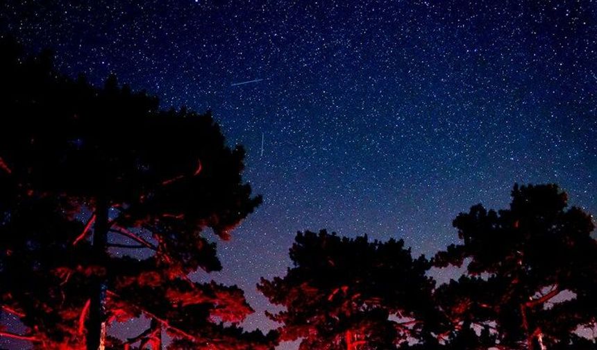 Topuklu Yaylası’nda Bilim Dolu Bir Hafta Sona Erdi