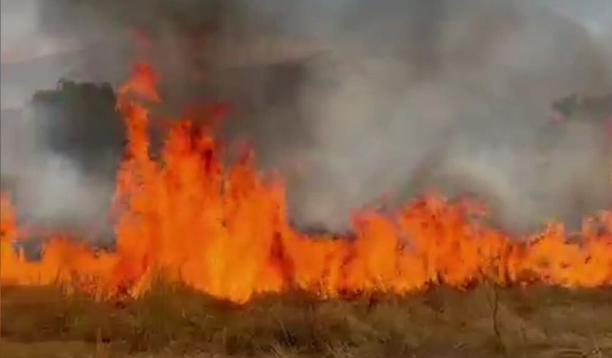 Denizli’de Zirai Alanda Çıkan Yangın Kısa Sürede Kontrol Altına Alındı