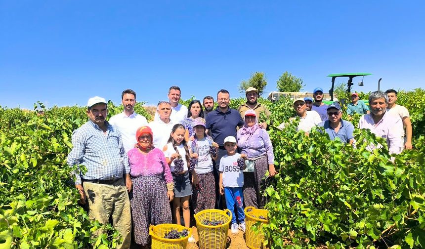 YENİ Parti’li Arpacı’dan üzüm fiyatına tepki: “Üreticinin şevki kırıldı, hevesi kalmadı”