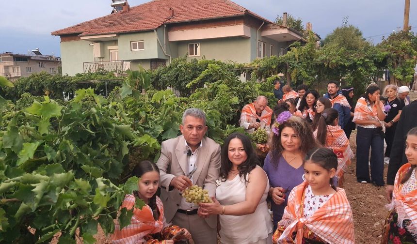 Çal'da Yağmur Dinmedi, Coşku Dinmedi! Bağbozumu'nda  Kültür, Gelenek Ve Vefa  Buluştu