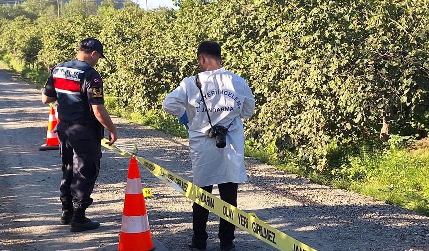 Denizli'de İncir Tarlasındaki Kavgada Kan Aktı
