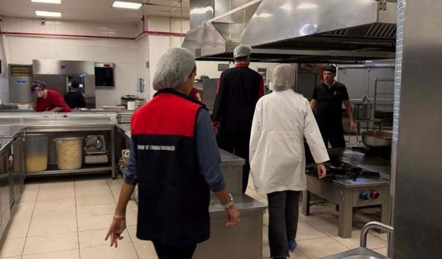 Denizli’de Gıda Denetimleri Aralıksız Sürüyor