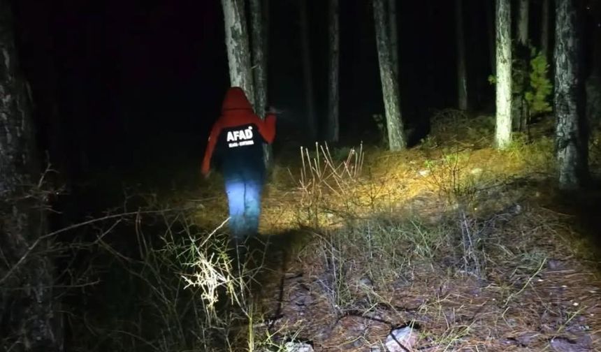 Denizli'de Ormanda Kaybolan Yaşlı Kadın Sağ Olarak Bulundu