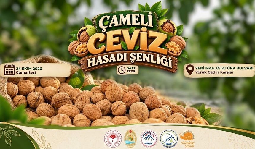 Çameli’de Ceviz Hasadı Coşkusu Başlıyor