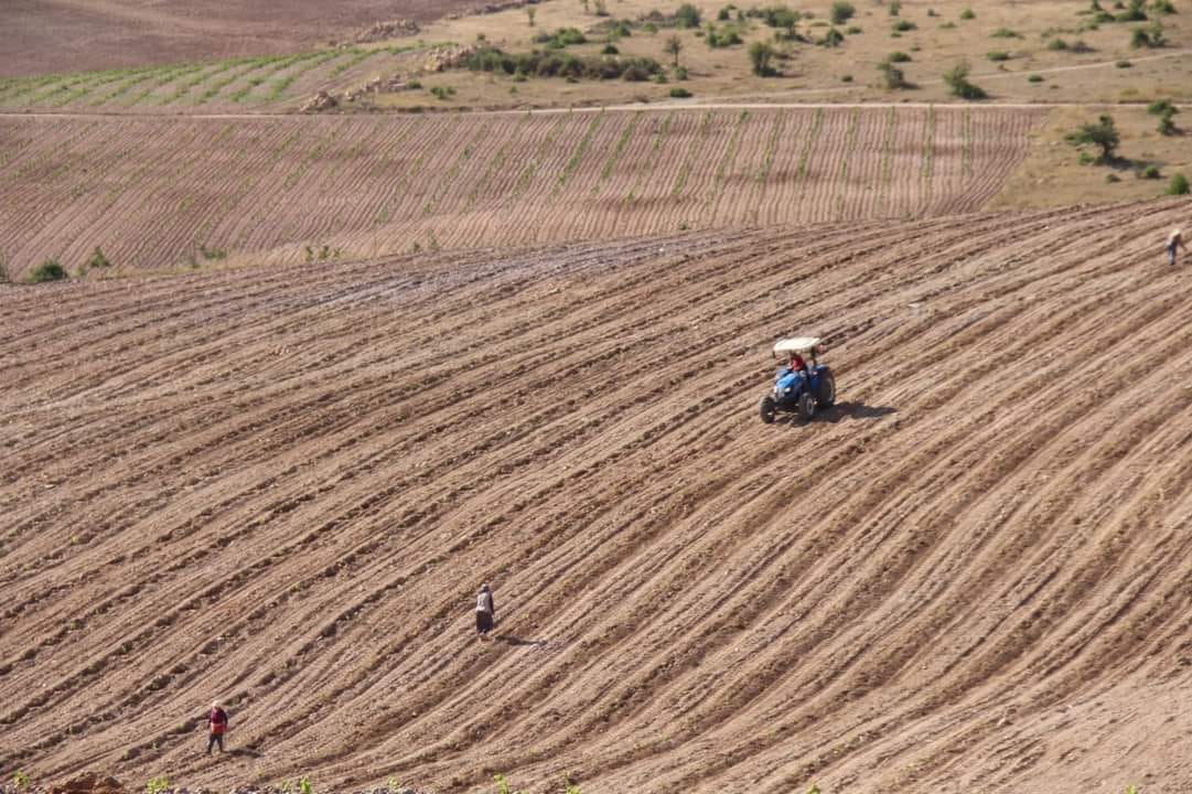 500 Bi̇n Fi̇dan Toprakla Buluştu