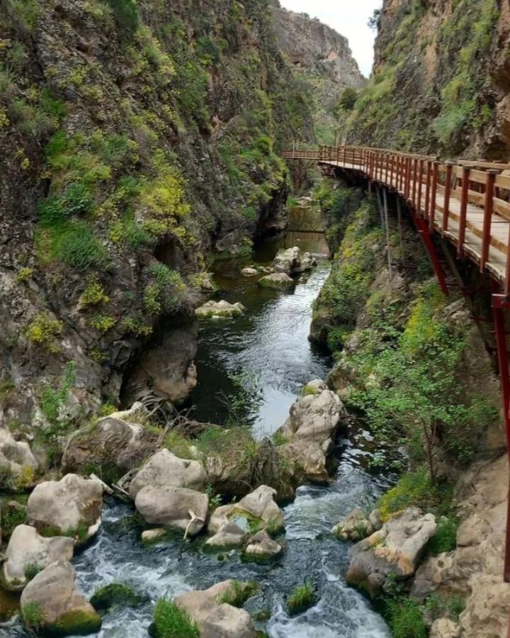 Çal Bağ Yolu Projesi Tamamlandı (3)