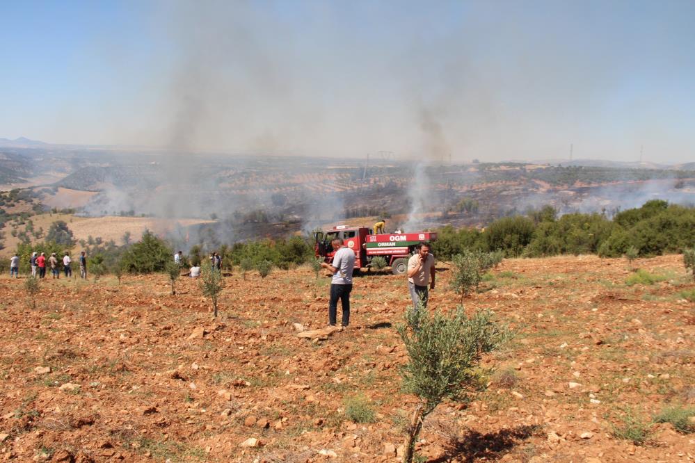 Çal’da 20 Hektar Küle Döndü! (1)