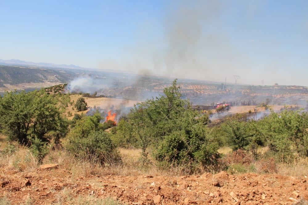 Çal’da 20 Hektar Küle Döndü! (3)