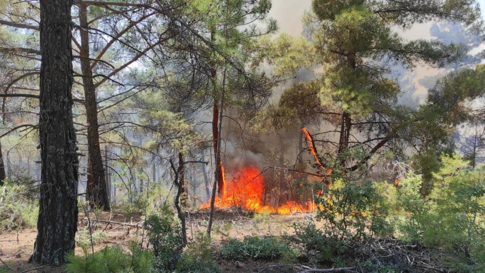 Denizli’den Kütahya’ya Yardım Eli (1)