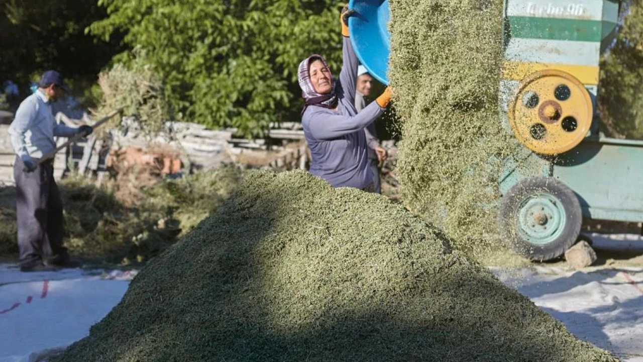 Türki̇ye’ni̇n Keki̇k Merkezi̇nde Üreti̇ci̇ Kan Ağliyor (1)-1