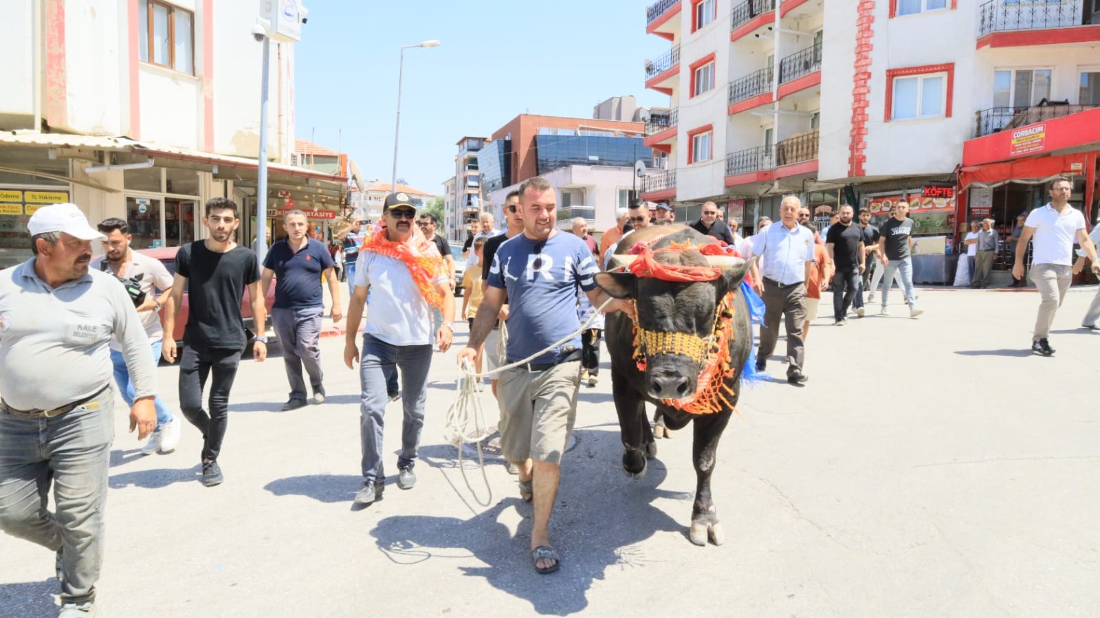 Kale’de Boğalar Meydana Çıktı (2)