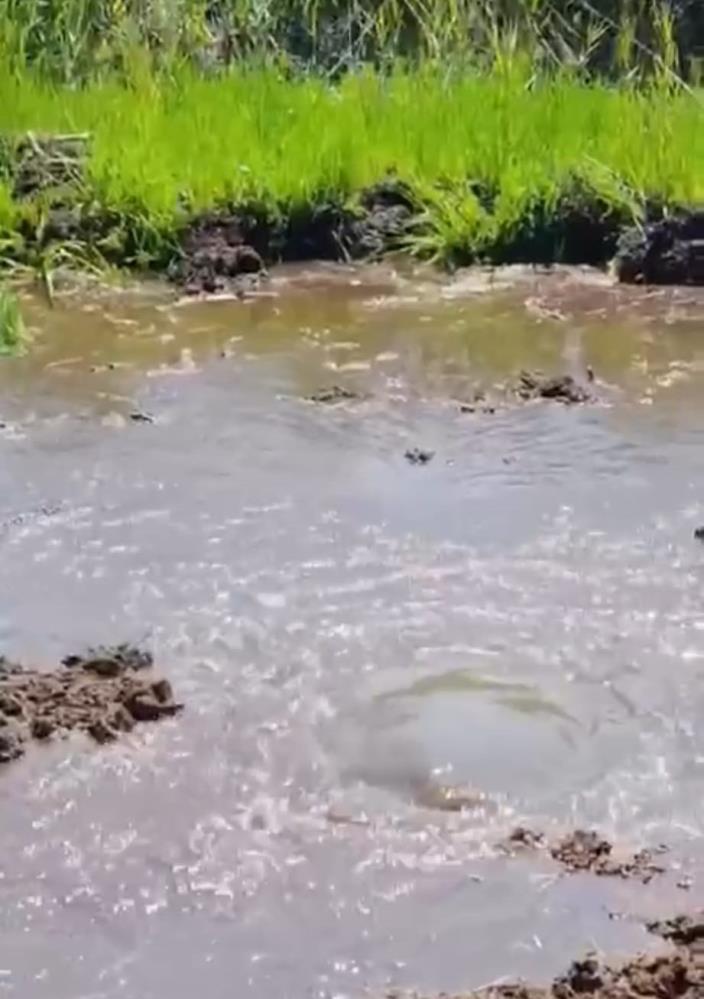 Süleymanlı Yayla Gölü’nde Su Kaynağı Bulundu (2)