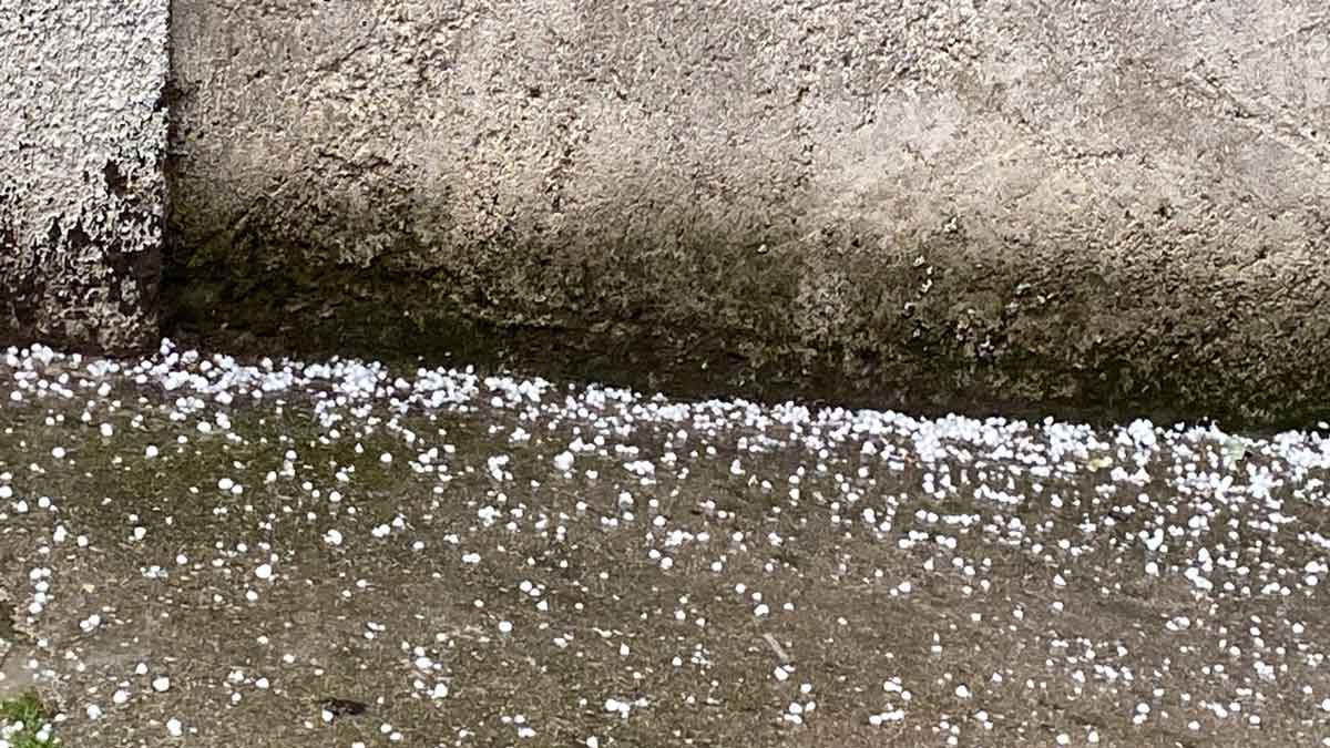 Findik Buyuklugunde Yagan Dolu Meyve Agaclarinda Zarara Neden Oldu1