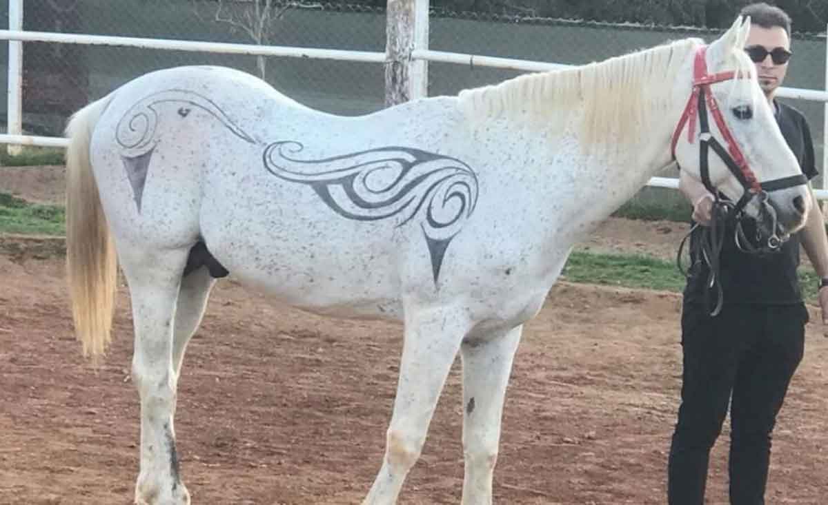 Atin Tuylerinden Sanat Eseri Olusturdu