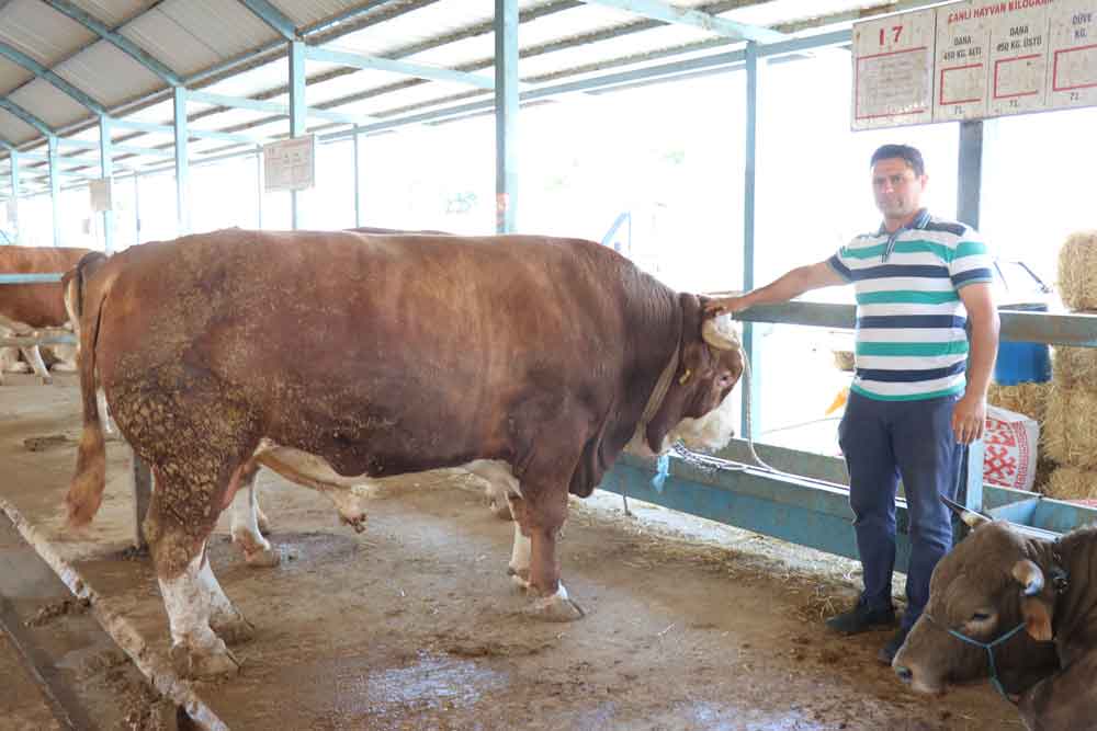 Kurban Bayrami Denizli En Buyuk Kurbanlik2