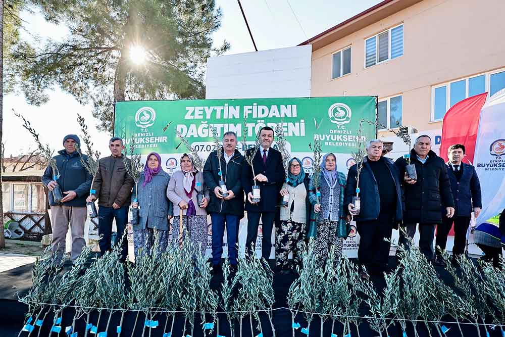 Denizli Buyuksehirden Ureticiye 100 Bin Zeytin Fidani Destegi 2