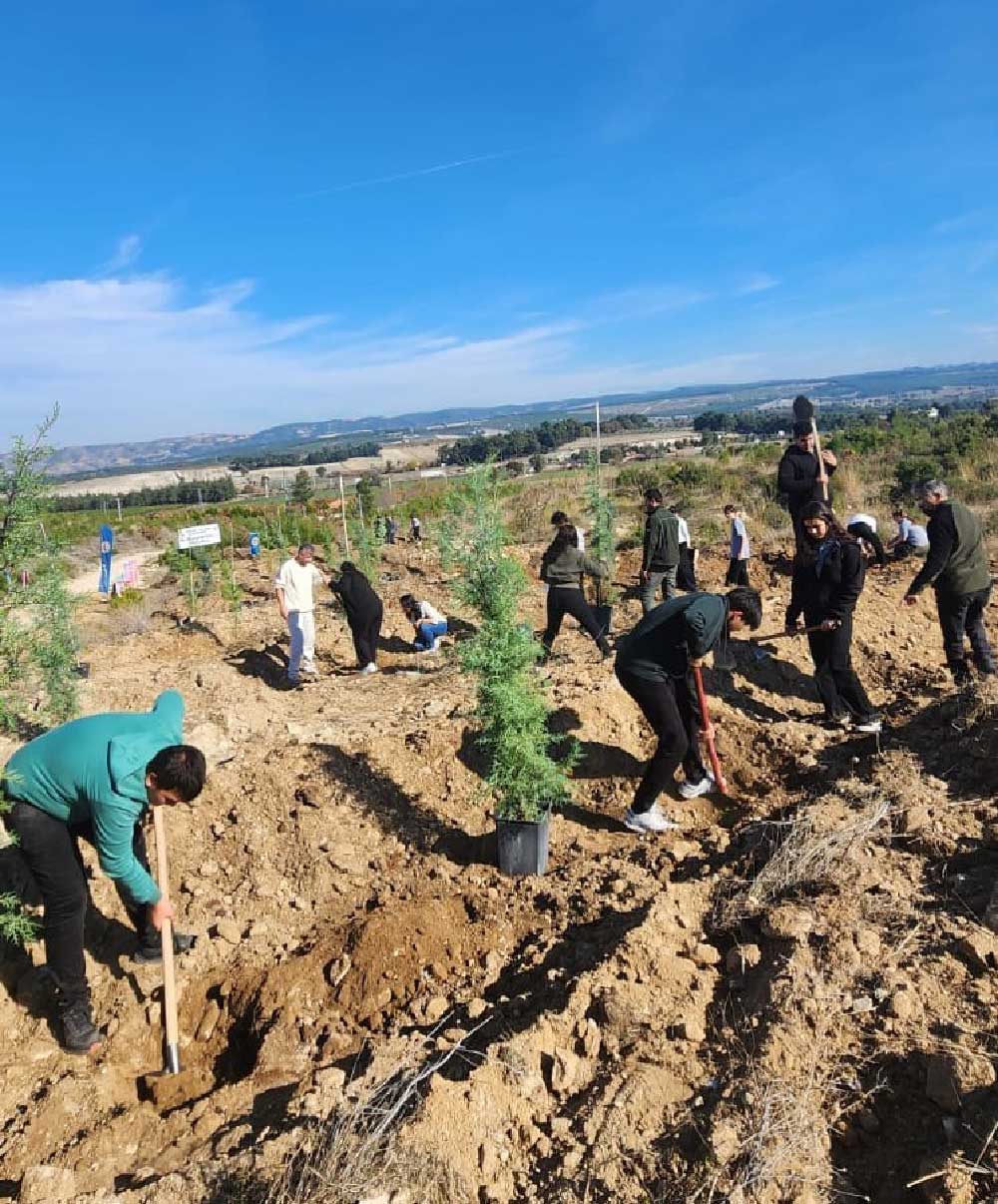 Buldan Muftulugu Tarafindan Hatira Ormani Olusturuldu 1