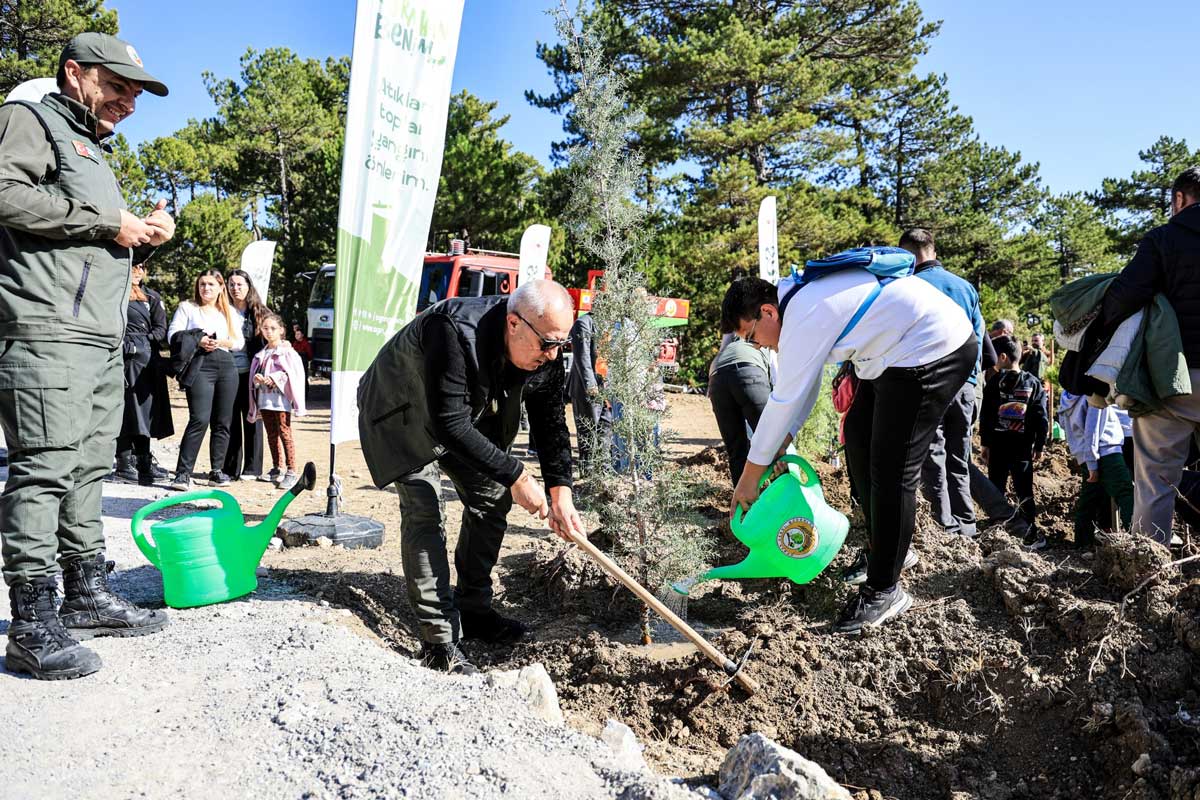 Camelide 11 Kasim Milli Agaclandirma Gunu Kapsaminda Fidanlar Toprakla Bulustu