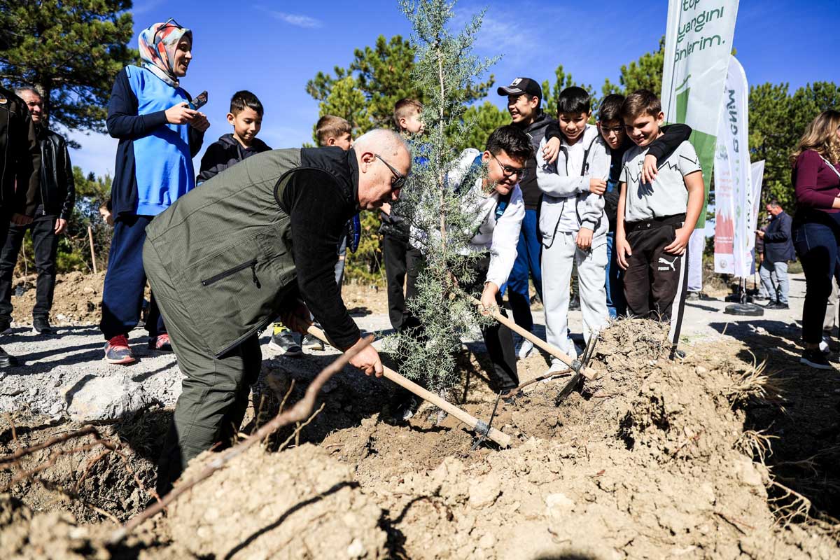 Camelide 11 Kasim Milli Agaclandirma Gunu Kapsaminda Fidanlar Toprakla Bulustu4