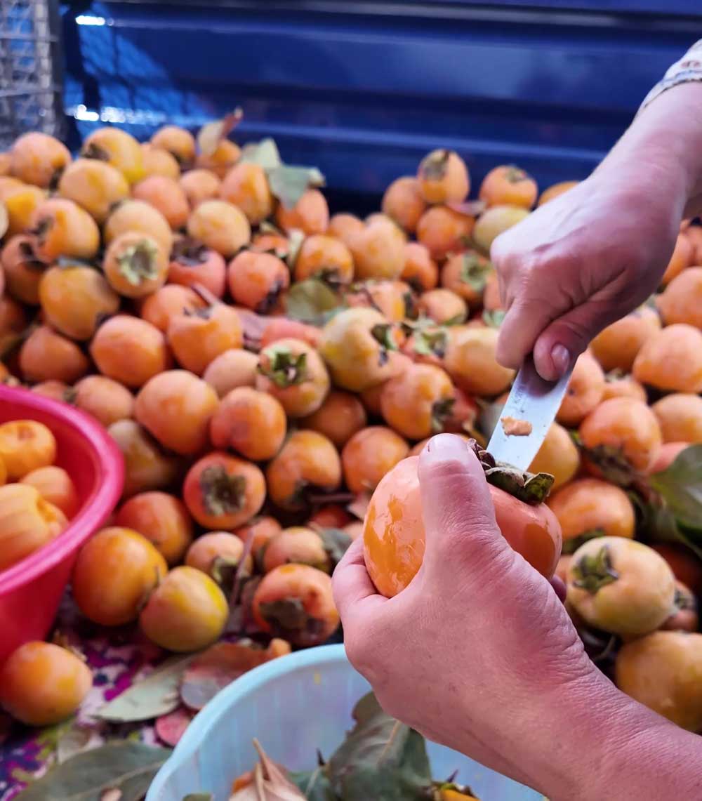 Denizli Cennet Hurmasi Cips Yapimi3
