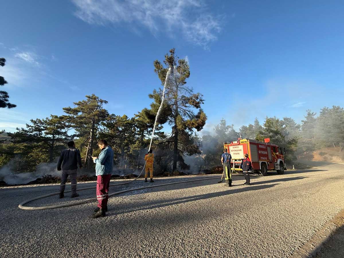 Denizli Orman Yangini Sut Toplayicisi1