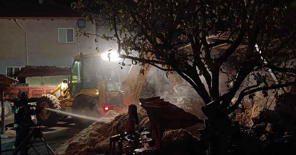 Samanlik Yangini Korkuya Neden Oldu 3