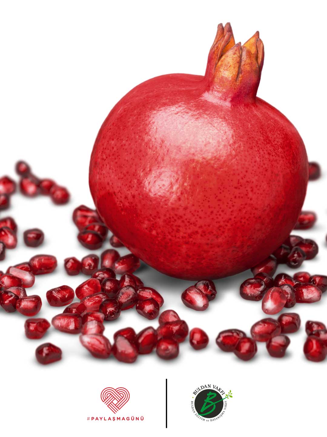 Buldan Paylasma Gunu Nar Ikrami 3