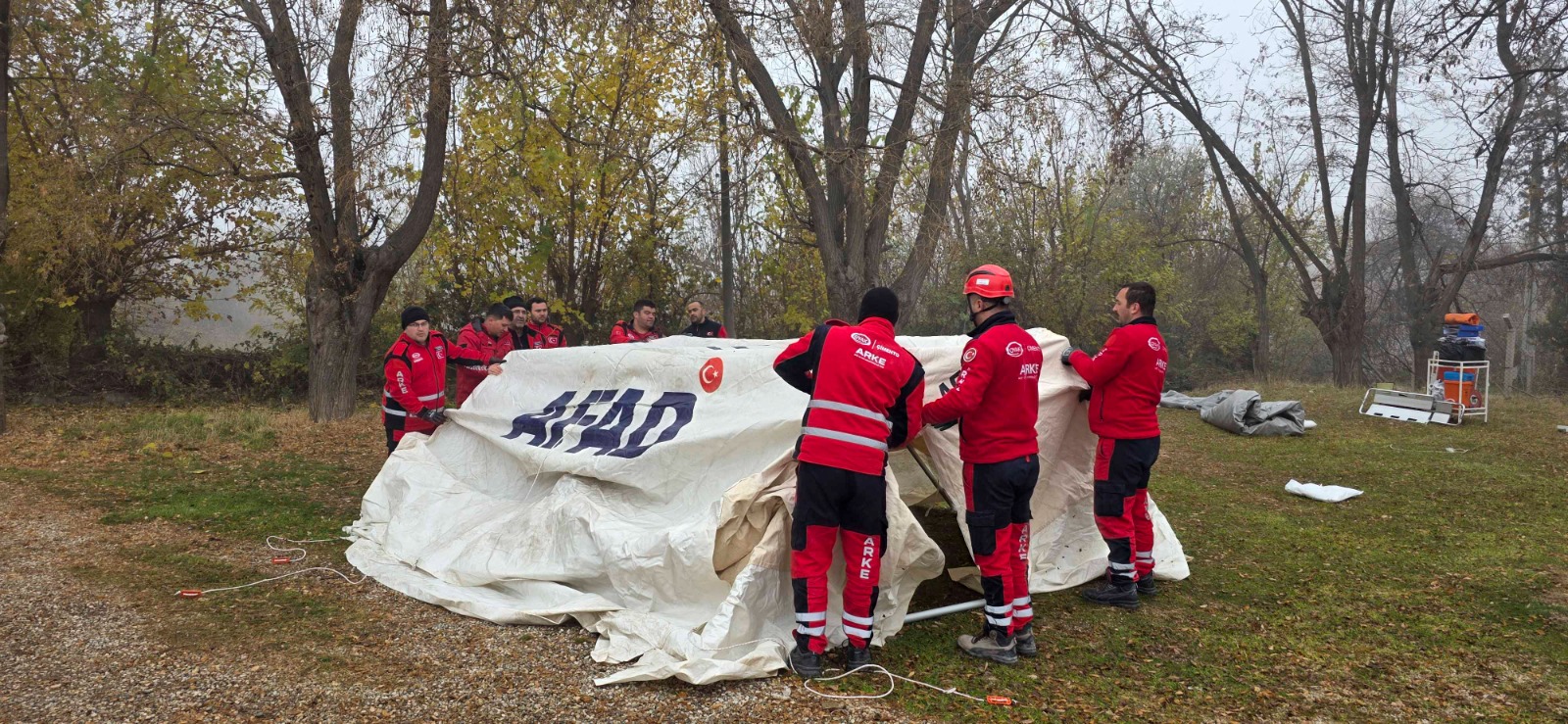 394254Eb 65F9 403A B58E 8Cabf753E17B-1