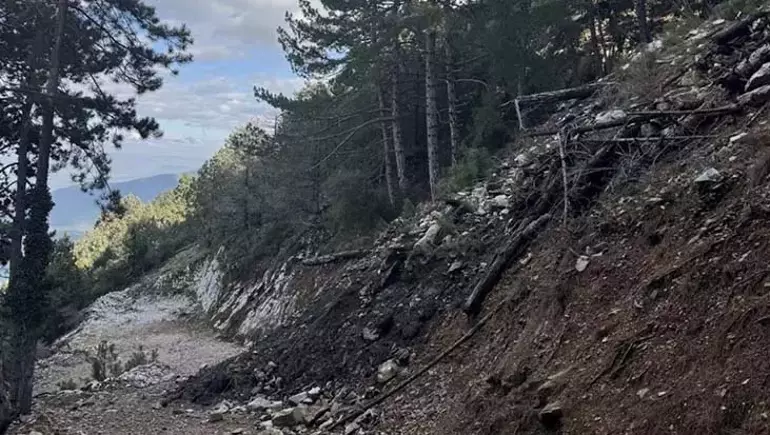 69918De29260115A9E5C6F8D