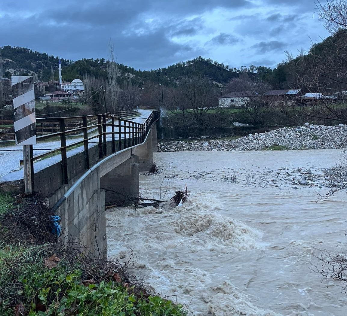 82D7A62C 2335 4012 8Ec7 570E4Dd7669E