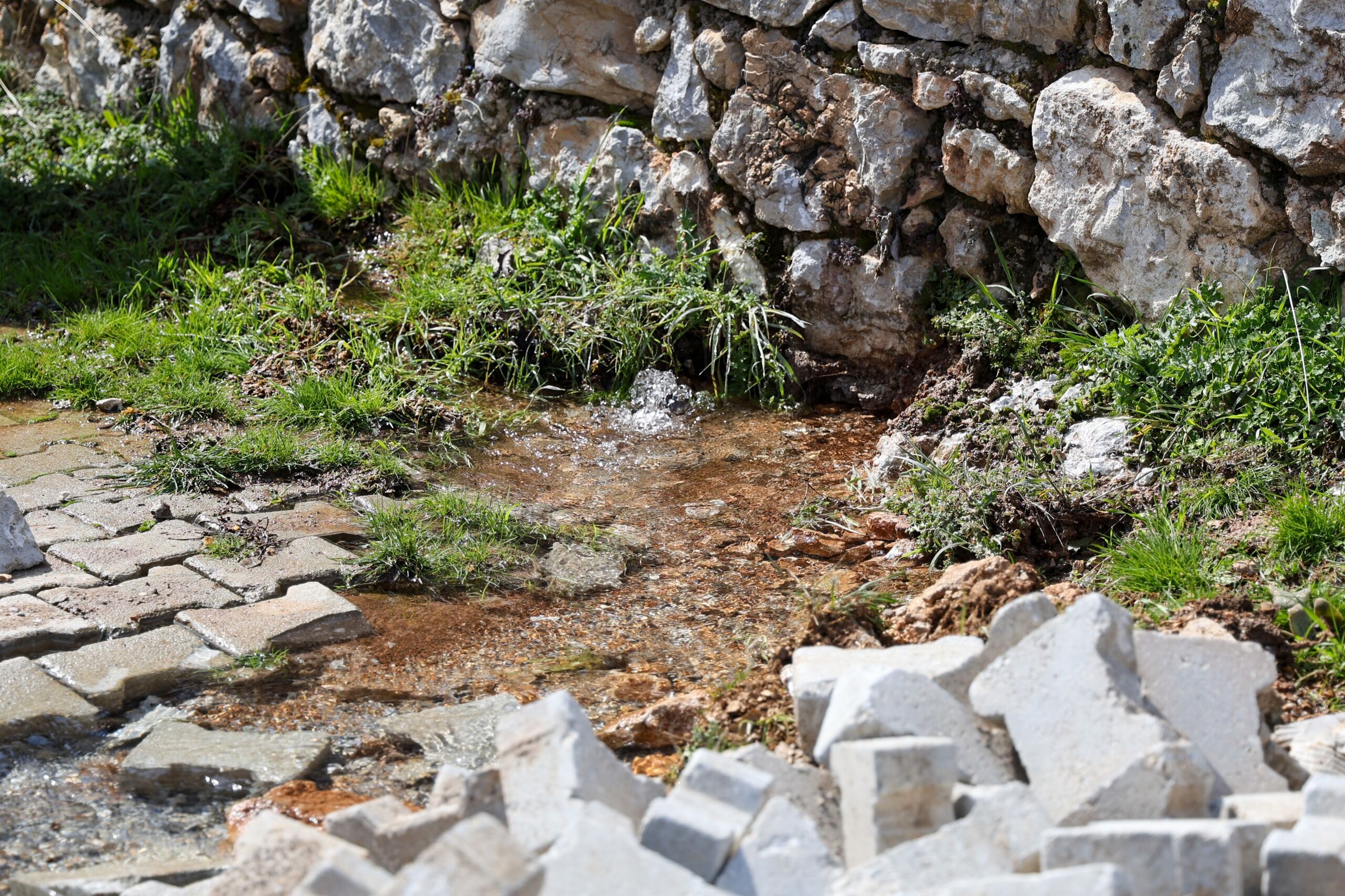 8Eaeefd2 38Cc 4312 B714 9717916C9Dc5