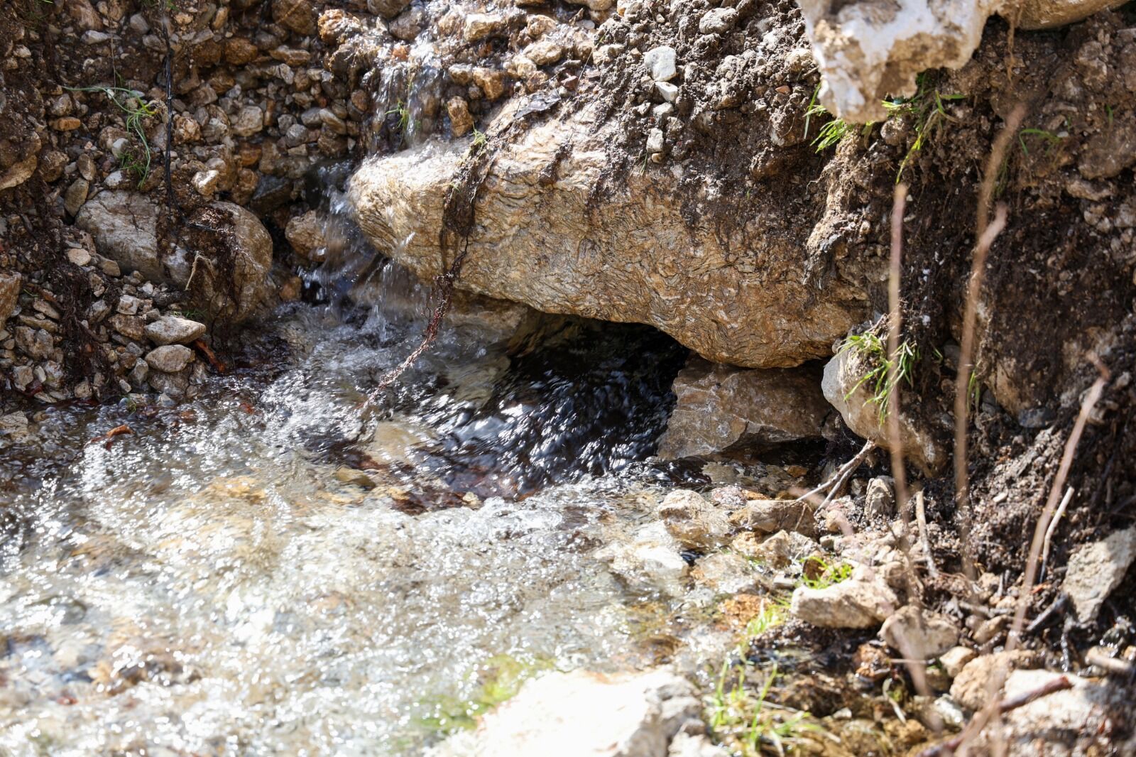 9B83A4F9 147E 4556 8551 9936B17227Bc