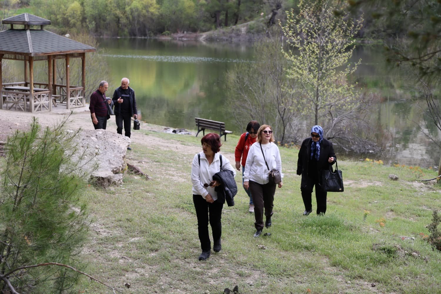 A0Cb7B14 Fc45 40Ad 8E6B 67D43Fcad940