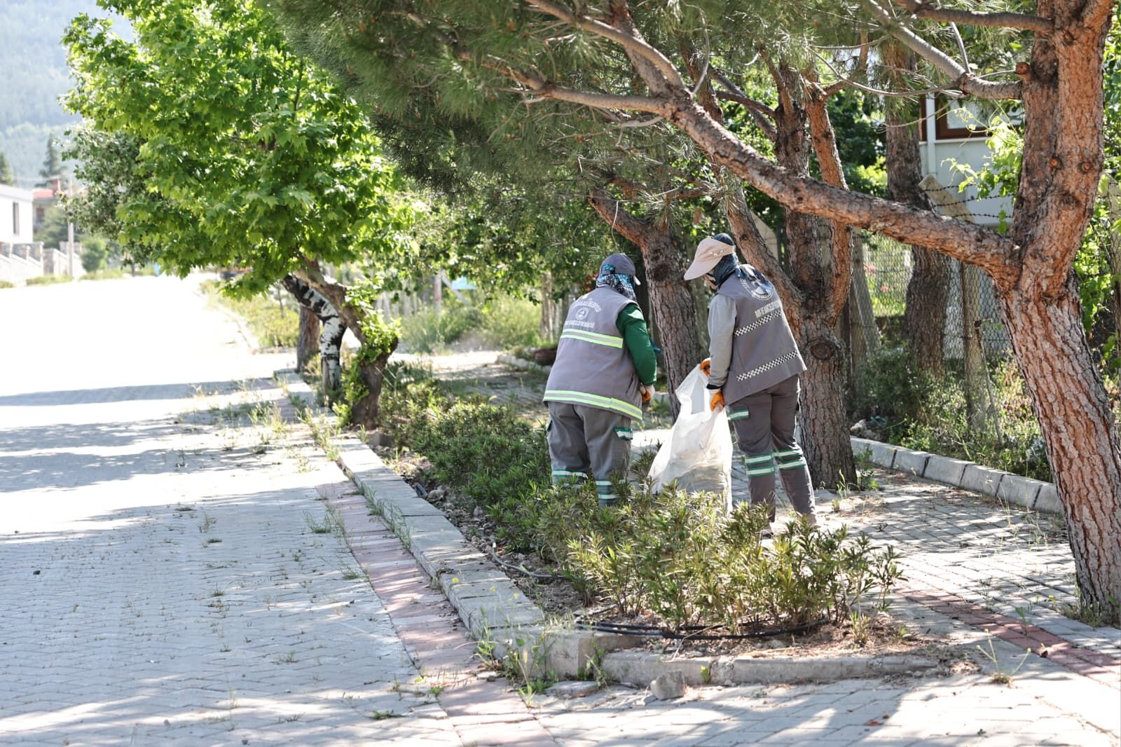 08062026011431Cankurtaran...2